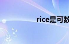 rice是可数还是不可数