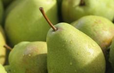 为什么你应该吃梨：营养回顾
