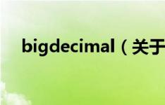 bigdecimal（关于bigdecimal的描述）