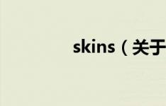 skins（关于skins的描述）
