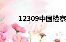 12309中国检察网下载（12309）