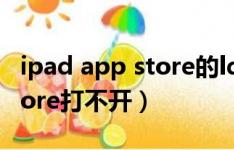ipad app store的ld怎么查看（ipad app store打不开）