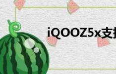iQOOZ5x支持指纹解锁吗？