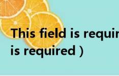 This field is required什么意思（this field is required）